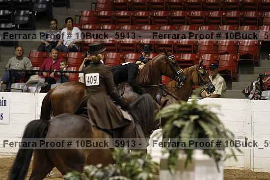 Proof 10buck_5913