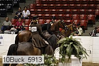10buck_5913 proof
