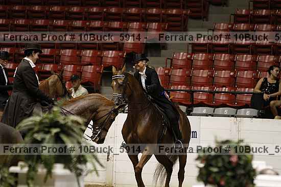 Proof 10buck_5914