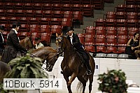 10buck_5914 proof