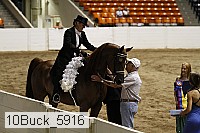 10buck_5916 proof