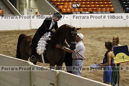 Proof 10buck_5917