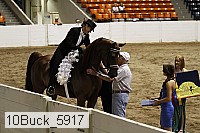 10buck_5917 proof