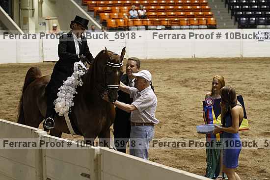 Proof 10buck_5918