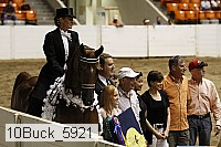10buck_5921 proof