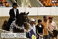 10buck_5923 proof