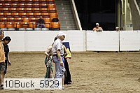 10buck_5929 proof