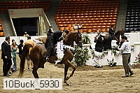 10buck_5930 proof