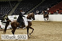 10buck_5932 proof