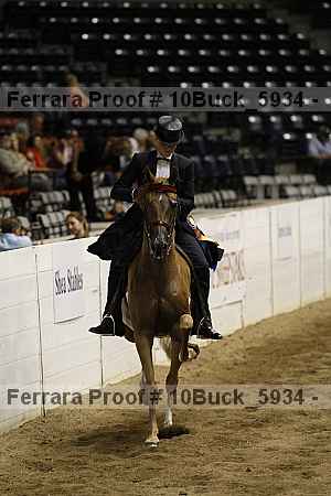 Proof 10buck_5934