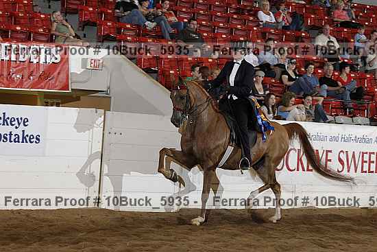 Proof 10buck_5935
