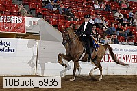 10buck_5935 proof