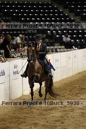 Proof 10buck_5936