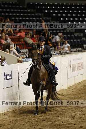 Proof 10buck_5937