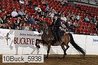 10buck_5938 proof
