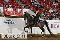 10buck_5941 proof