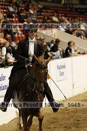 Proof 10buck_5945
