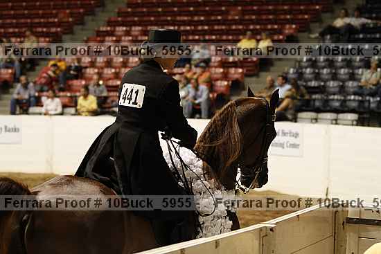 Proof 10buck_5955