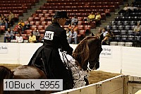 10buck_5955 proof