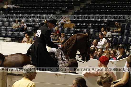 Proof 10buck_5956