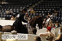 10buck_5956 proof
