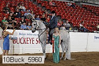 10buck_5960 proof
