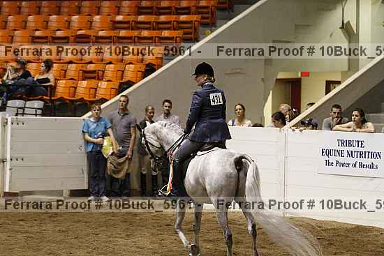 Proof 10buck_5961