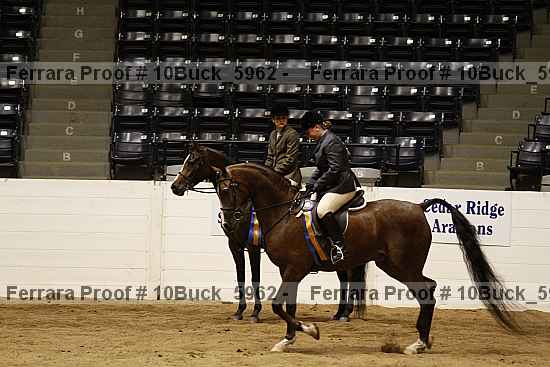 Proof 10buck_5962