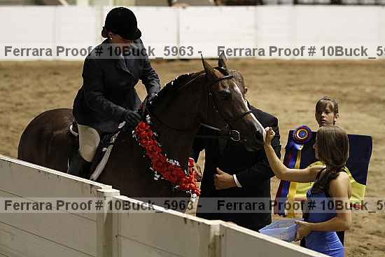 Proof 10buck_5963