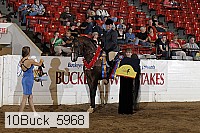 10buck_5968 proof