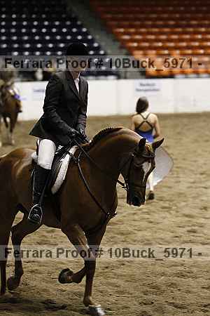 Proof 10buck_5971