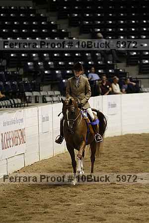 Proof 10buck_5972