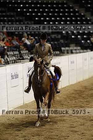 Proof 10buck_5973