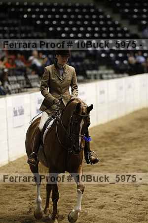 Proof 10buck_5975