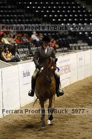 Proof 10buck_5977