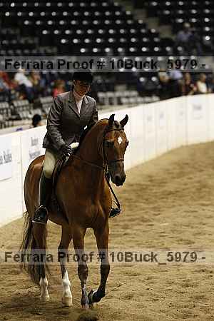 Proof 10buck_5979