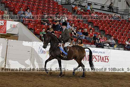 Proof 10buck_5985