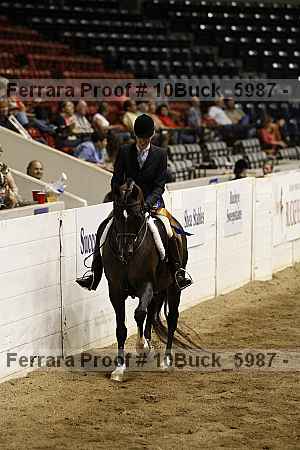 Proof 10buck_5987