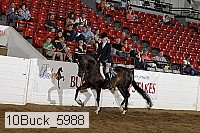 10buck_5988 proof