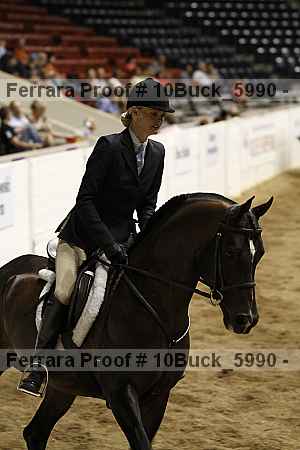 Proof 10buck_5990