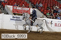 10buck_5993 proof