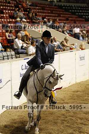 Proof 10buck_5995