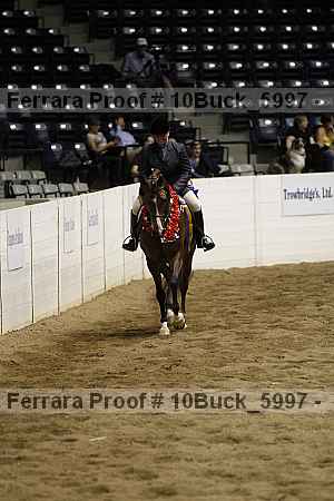 Proof 10buck_5997