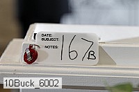 10buck_6002 proof