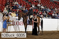 10buck_6005 proof