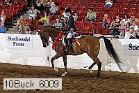 10buck_6009 proof