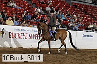 10buck_6011 proof