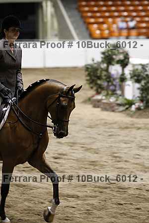 Proof 10buck_6012
