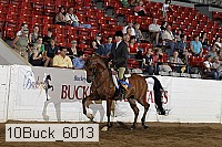 10buck_6013 proof