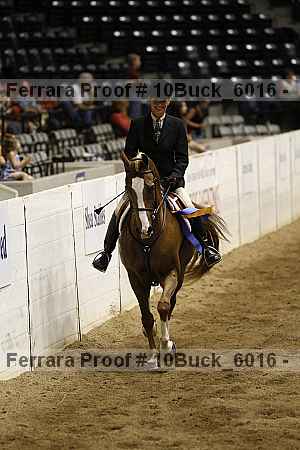 Proof 10buck_6016